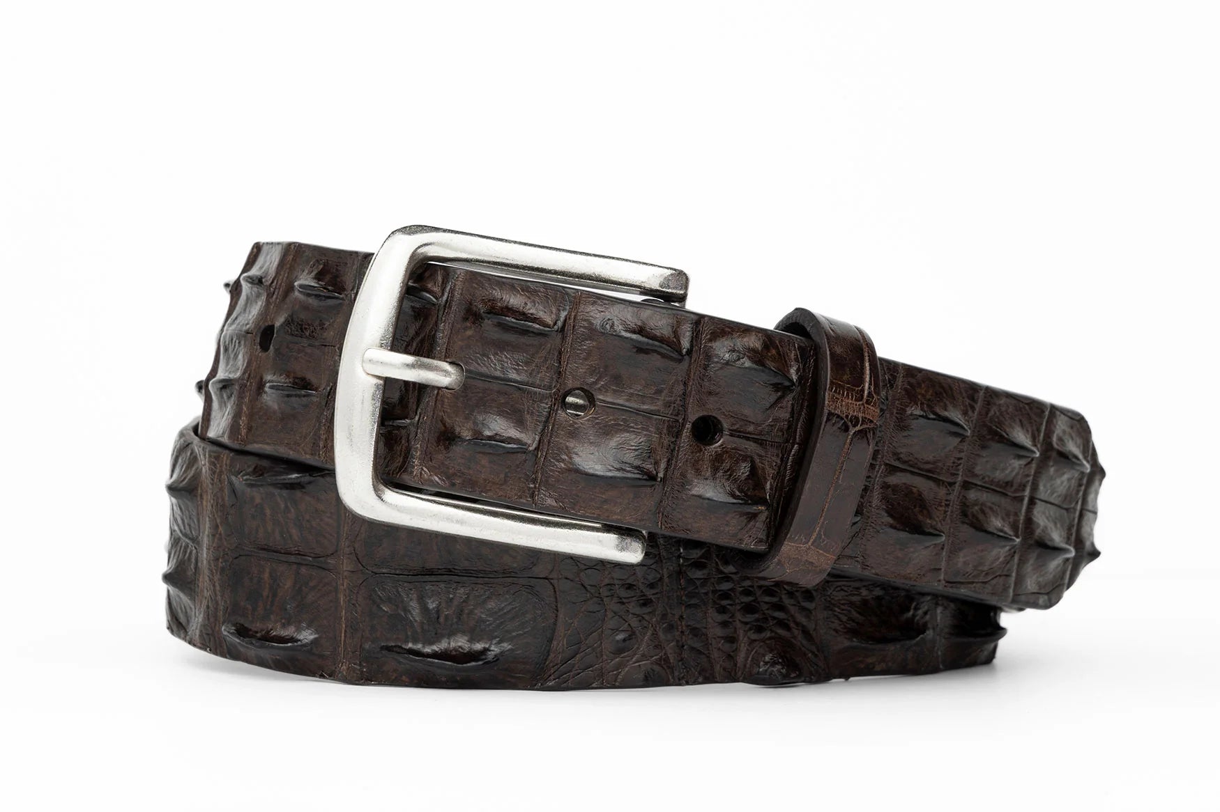 W.Kleinberg - Hornback Crocodile