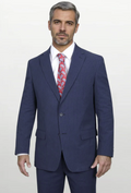 Haspel - Audubon Seersucker Sport Coat